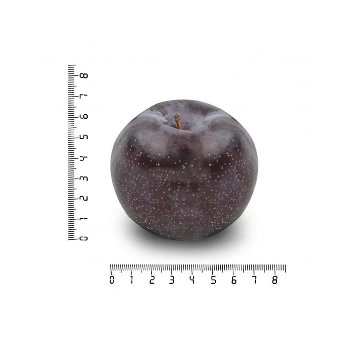 Слива оптом