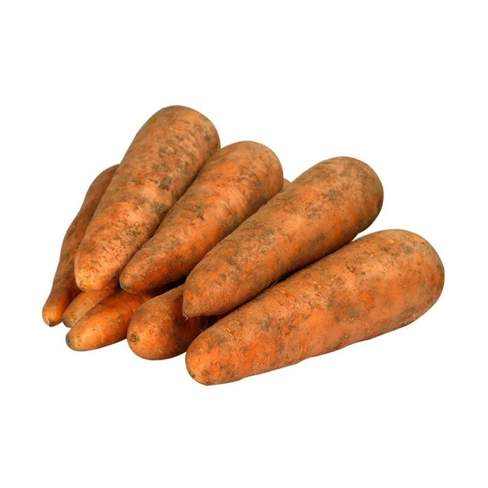 Морковь грязная, Беларусь оптом