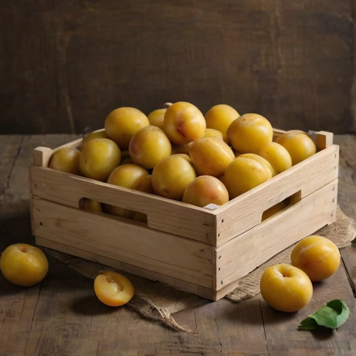 Слива желтая, ЮАР, 4.7 кг оптом